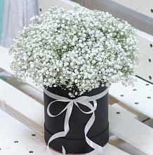 Цветочная композиция из Гипсофила в шляпной коробке #REPLACE_PRED# Горячем Ключе